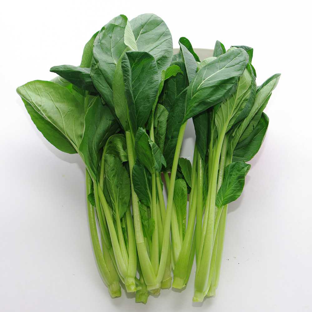 蔬菜名稱:【燎原特惠】油菜新鮮綠色種植綠色無公害蔬菜新鮮青菜順豐